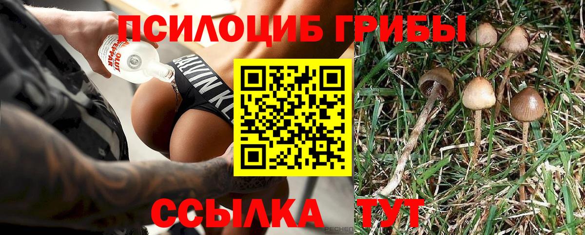 Галлюциногенные грибы Psilocybine cubensis  Вход с VPN  купить наркоту  Балашиха  Псилоцибиновые грибы Psilocybine cubensis 