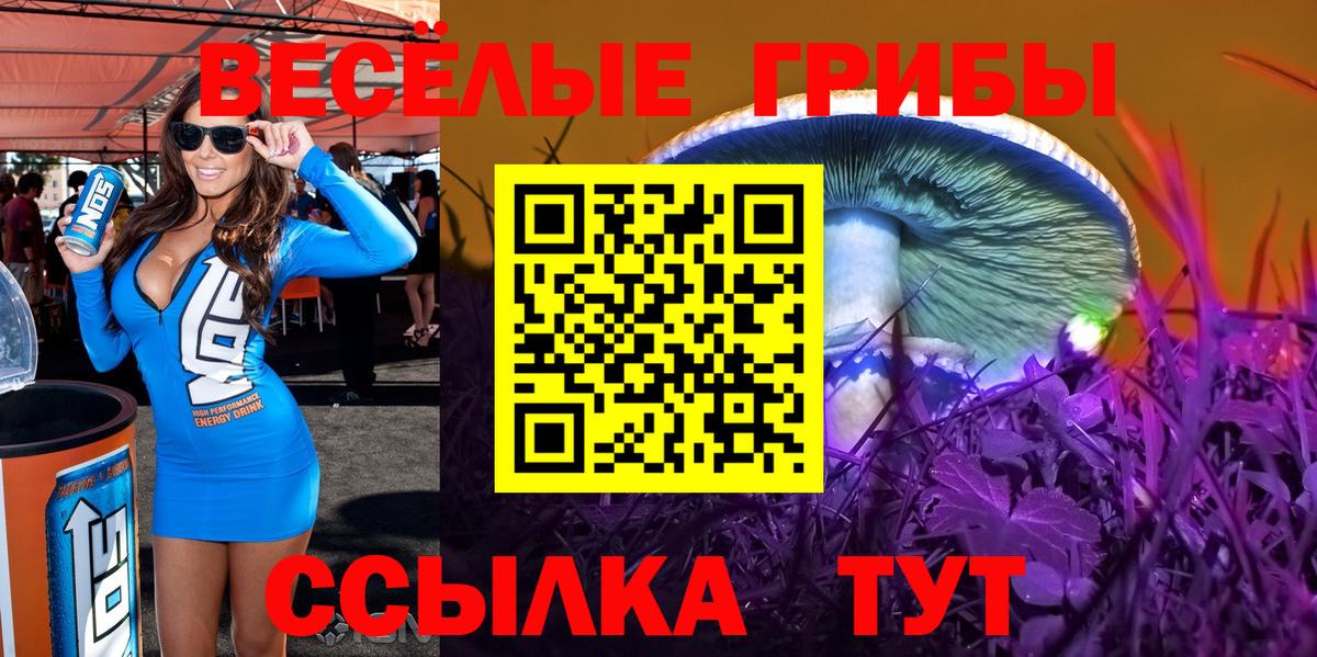 Псилоцибиновые грибы Psilocybe Балашиха